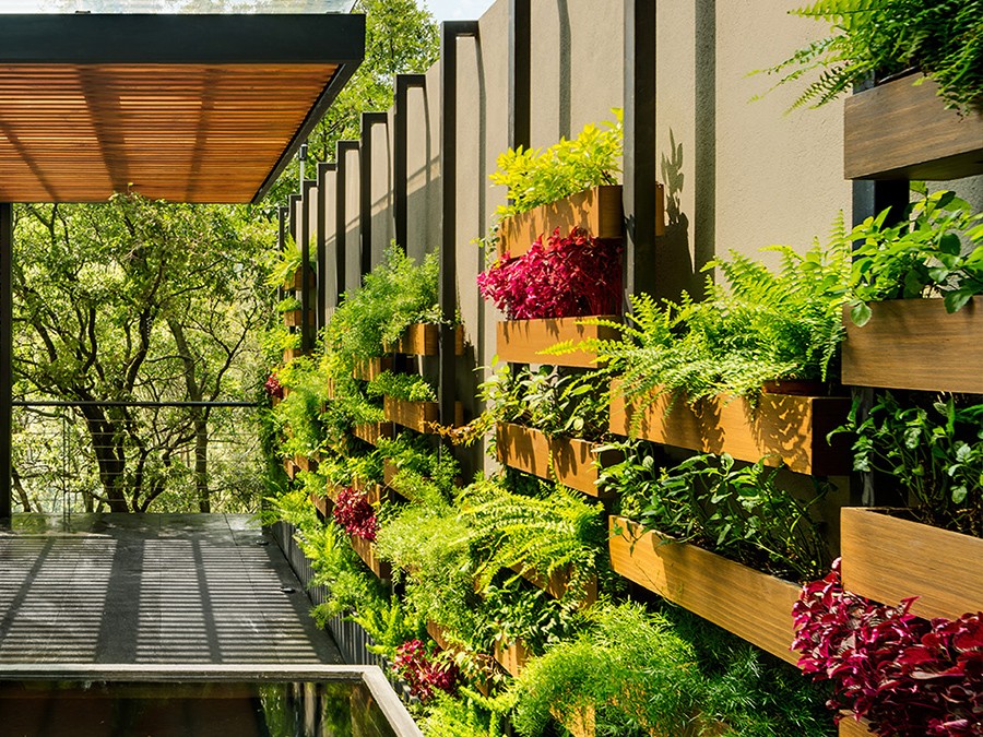 Why Should You Realise The Importance Of The Latest Trend In The Form Of The Vertical Garden?